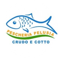 Benvenuti alla Pescheria Pelusia: Un Paradiso Marino a Modena